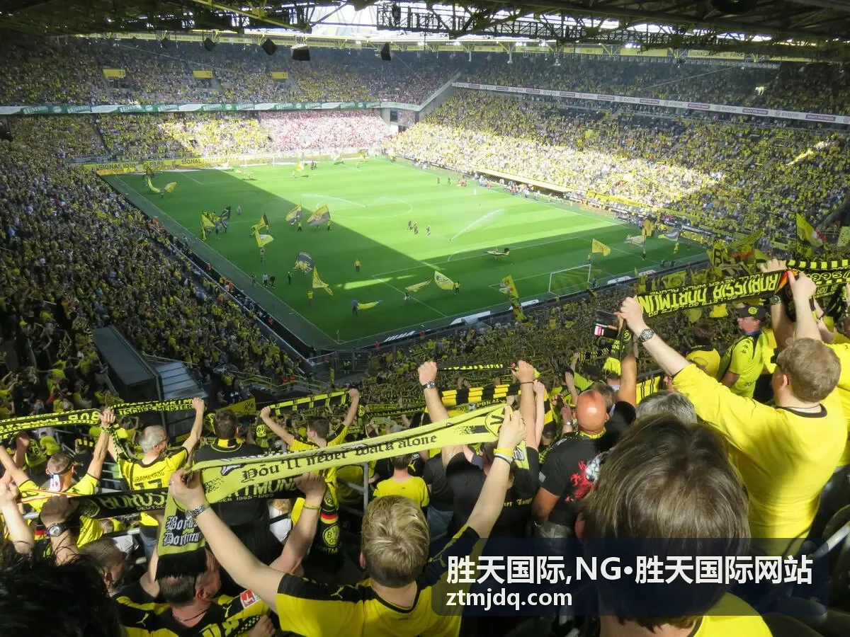 NG·胜天国际网站国际业务场景